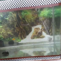 آکواریوم شیشه خم شرکتی ماهیران