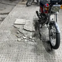 هندا درحد