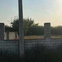 ۱۰۰۰ متر زمین تجاری با ۳۰ متر بر جاده اصلی|فروش دفتر صنعتی، کشاورزی، تجاری|کیاکلا, |دیوار