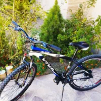 دوچرخه ویوا 29