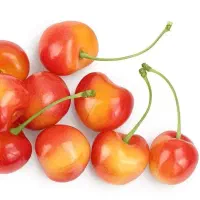 پیش فروش نهال گیلاس صورتی|خدمات باغبانی و درختکاری|شازند, |دیوار