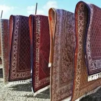 قالیشویی همیشه بهار