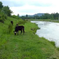 زمین باغی در خرفکل