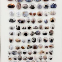 بارخونه شجر قائن