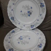 ۶دست بشقاب پلوخوری ارکوپال|ظروف سرو و پذیرایی|ری, شهادت|دیوار