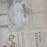 2تخته فرش 6متر 1200شانه|فرش|اندیشه, اندیشه فاز ۳|دیوار