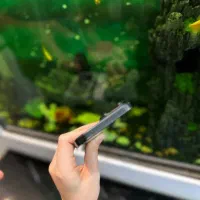 ۱۶ پرومکس ۲۵۶ zaa|موبایل|تهران, امامت|دیوار