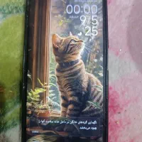 شیائومی