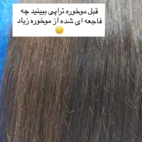 موخوره گیری روسی با قیچی