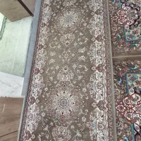 فرش|فرش|شاهنجرین, |دیوار