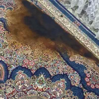 فرش شش متری وکناره|فرش|کرمانشاه, |دیوار