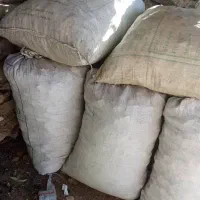 کفش ایمنی بدون خاکه درشت