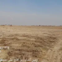 یک-هکتاربا-جواز-گلخانه