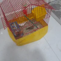 فنچ دره شهر