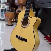 گیتار دیاموند ( آموزشگاه موسیقی سینا )