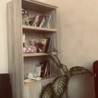 کتابخانه کرمی رنگ