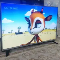 تلویزیون ال جی 49 اینچ ساخت کره