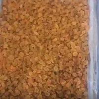 کشمش آفتابی کاشمر|خوردنی و آشامیدنی|قائم‌شهر, |دیوار