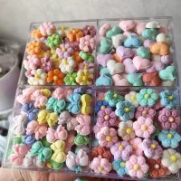 شغلخانگی برایخانمها