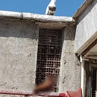 دمی