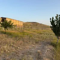 زمین زراعی|فروش زمین و ملک کلنگی|بستان آباد, |دیوار