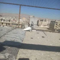 یال گلدار|پرنده|شیراز, کوشک میدان|دیوار