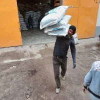 باربری|خدمات حمل و نقل|مشهد, کوی دروی|دیوار