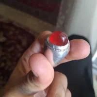 انگشتر رکاب فیلی