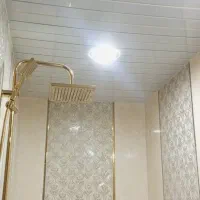 نصاب و مجری تزئینات داخل و خارج ساختمان|خدمات پیشه و مهارت|اردبیل, |دیوار
