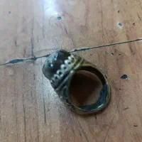 سلام انگشتر شجر دریای