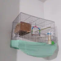 دوعدد قفس پرنده