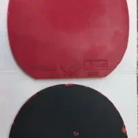 رویه راکت کار کرده تینرجی 05