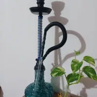 قلیون