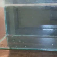 اکواریوم با ماهی|ماهی|تهران, شهرک شریفی|دیوار