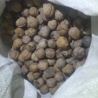 گردو موجود ۳۵ کیلو