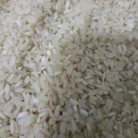 برنج کامفیروزی اعلا|خوردنی و آشامیدنی|شیراز, کیان شهر|دیوار