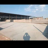 فروش گاوداری مجهز (قابل تهاتر)|فروش دفتر صنعتی، کشاورزی، تجاری|جوادآباد, |دیوار