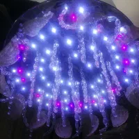 لوستر کنترل دار