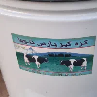 کره گیر برقی