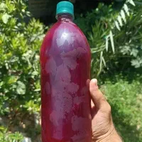 ایستگاه آب انار خالص و طبیعی