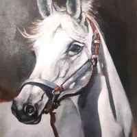 اموزش نقاشی کودکان با قیمت استثنایی