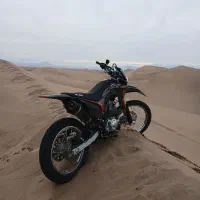 تریل باسل ۲۵۰