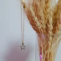 بدلیجات گردنبند دست ساز شیک|بدلیجات|تهران, سید خندان (جلفا)|دیوار