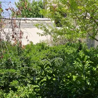 باغ ویلا سندتکبرگ کنتورآب برق گازشهری