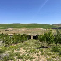 زمین کودیان با سهمیه اب
