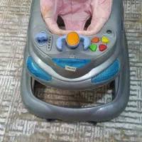 روروئک نوزاد