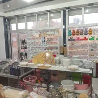 پلاسکوسیدمحمدی