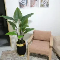 درختچه مصنوعی، آینه، بوفه، رگال، پاف|گل مصنوعی|آبیک, |دیوار