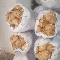 خوراکی ارگانیک زد