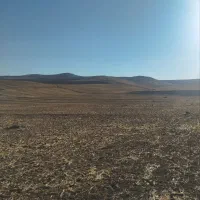 فروش2هکتار زمین کشاورزی بارانی|فروش دفتر صنعتی، کشاورزی، تجاری|محمدبار, |دیوار